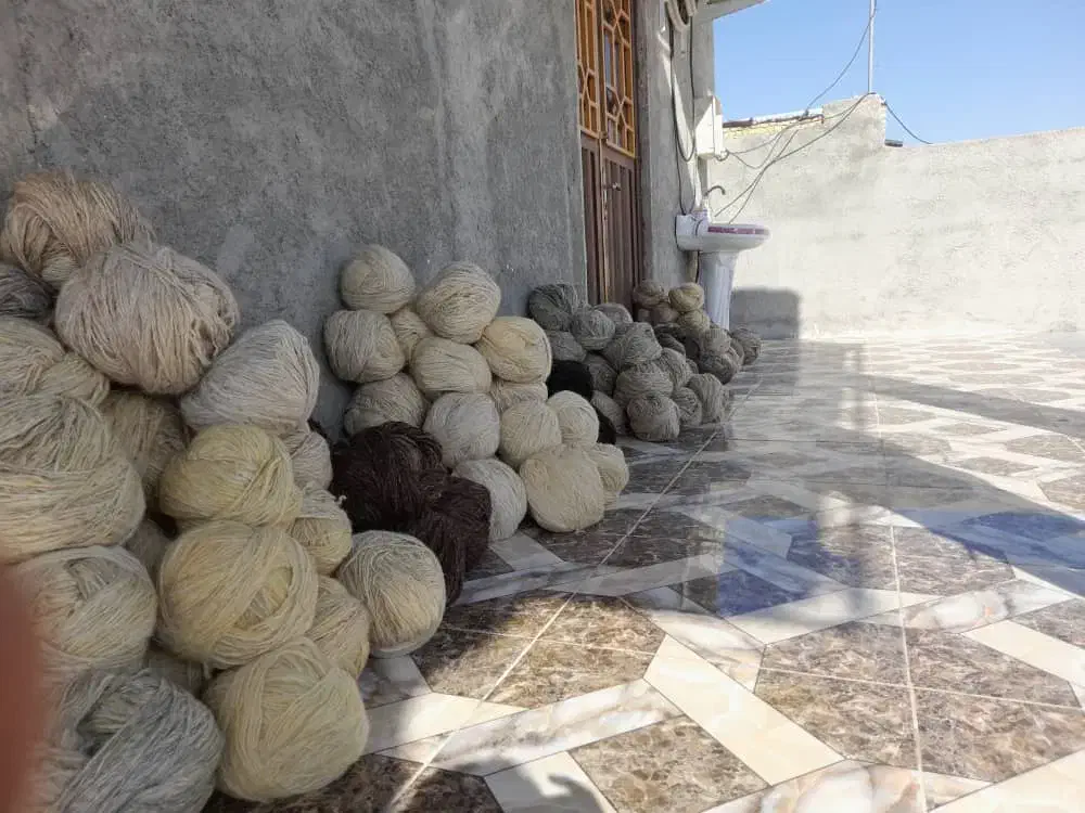 گلیم بافت|گلیم، جاجیم، گبه|شیراز, شاهچراغ|دیوار