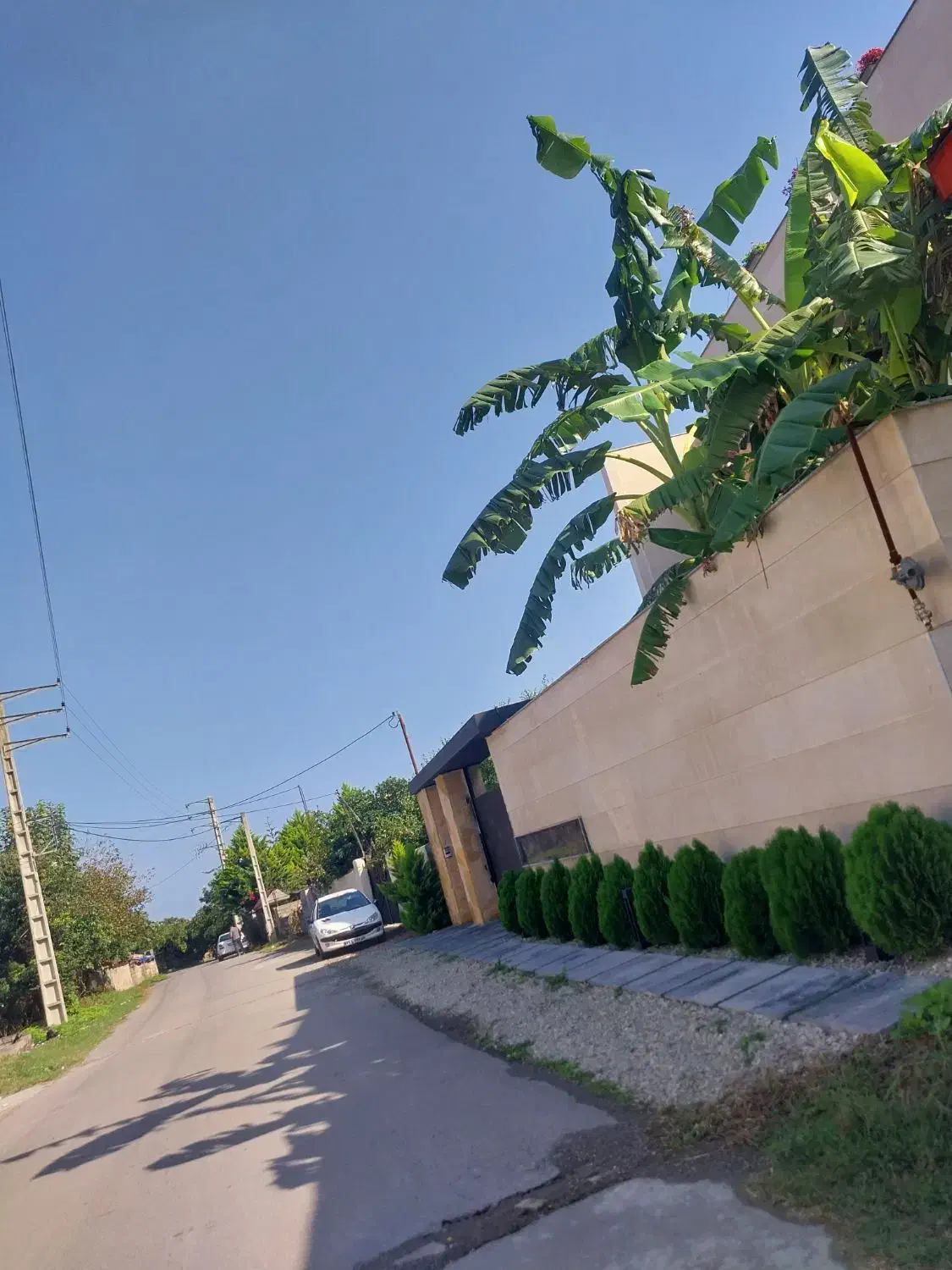 زمین منطقه آزاد ۳۰۰متر گراکو سند تک برگ|فروش زمین و ملک کلنگی|تنکابن, |دیوار