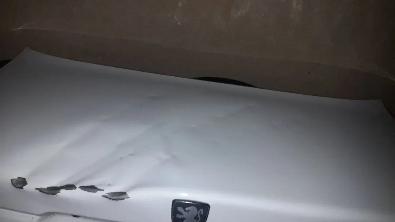 درب صندوق پژو پارس سال|قطعات یدکی و لوازم جانبی|بندر ماهشهر, |دیوار