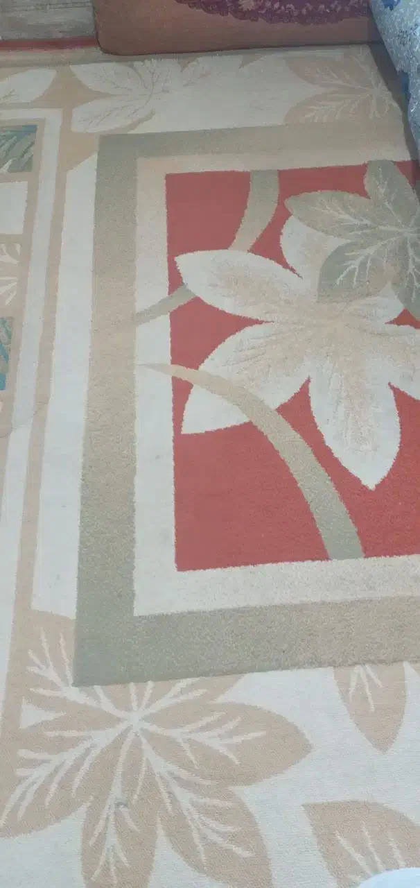 گلیم فرش|گلیم، جاجیم، گبه|اندیمشک, |دیوار