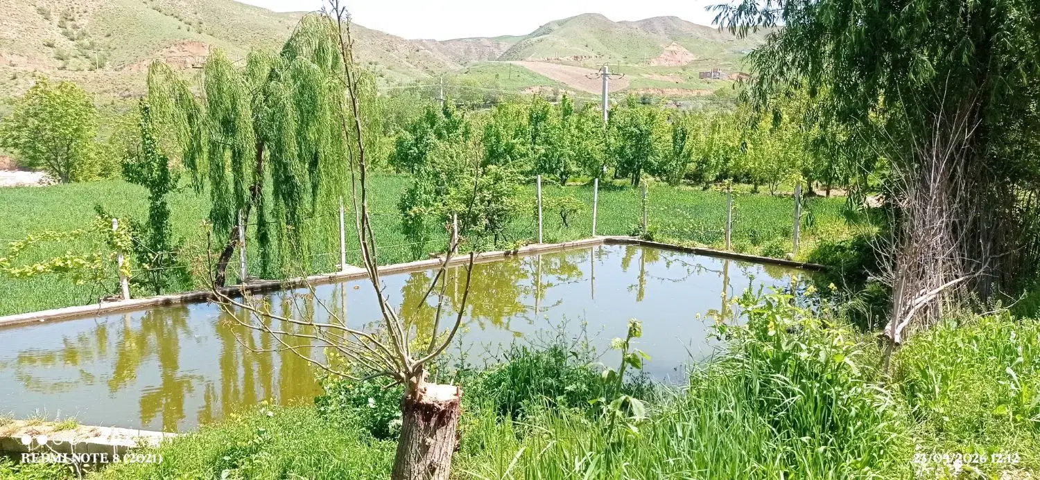 باغ|فروش زمین و ملک کلنگی|بجنورد, |دیوار