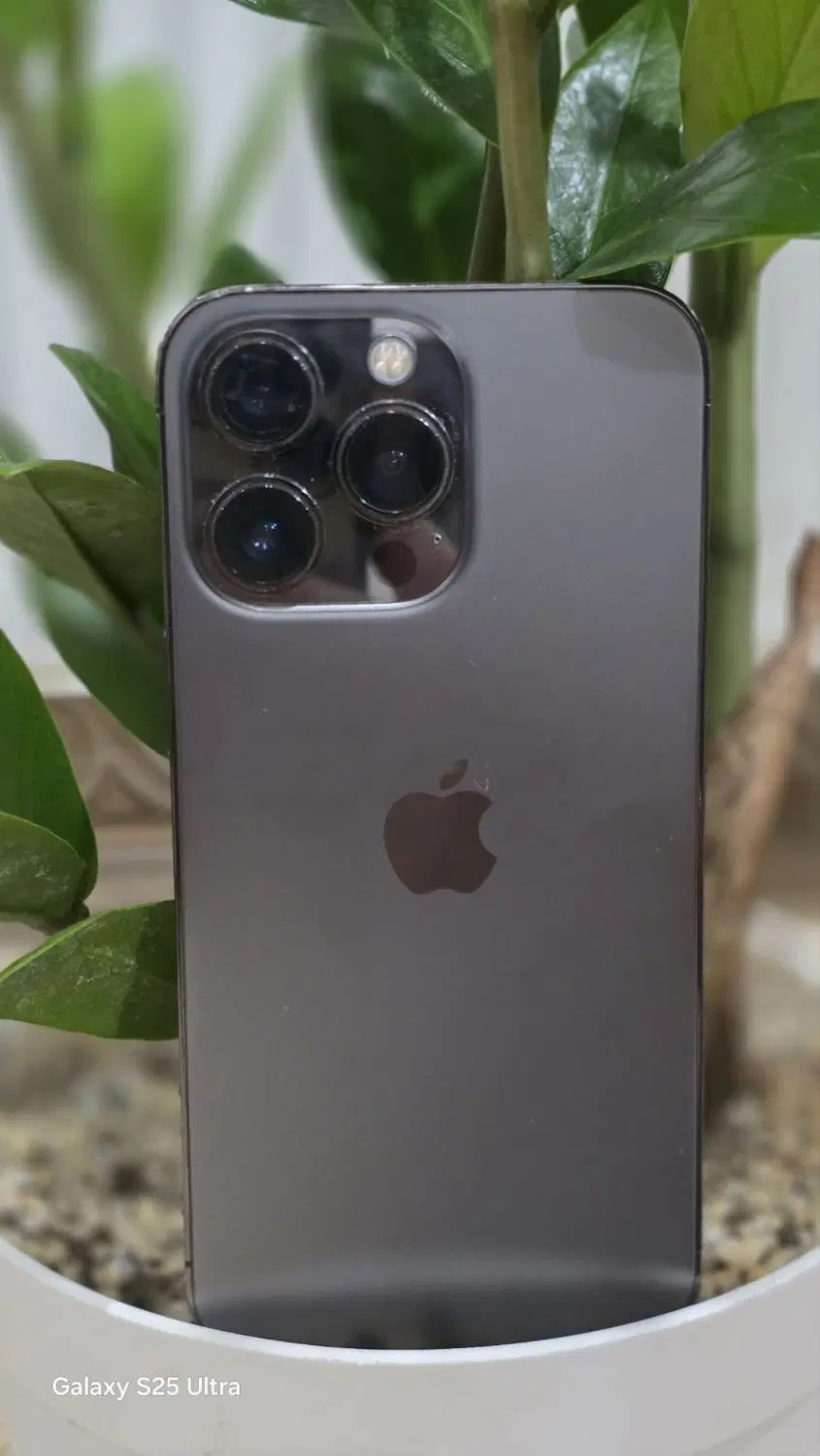 iPhone 13 pro|موبایل|کرمان, |دیوار