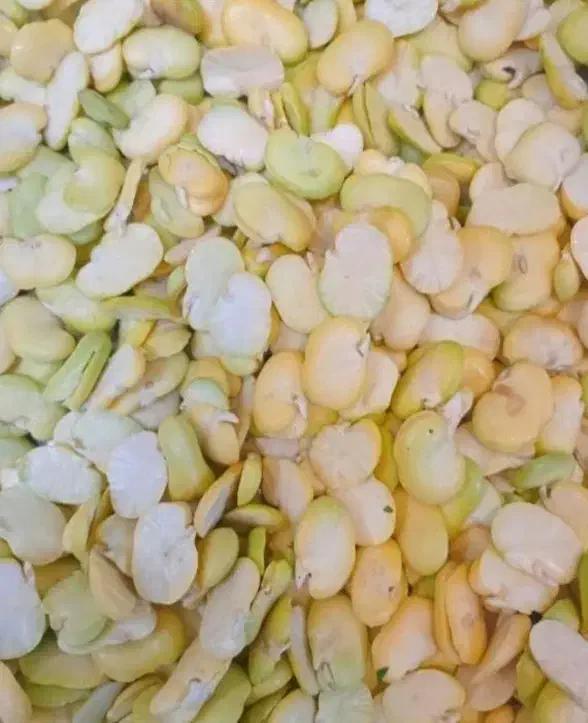 باقالا باقالی زیر قیمت بازار|خوردنی و آشامیدنی|قم, زند آباد|دیوار