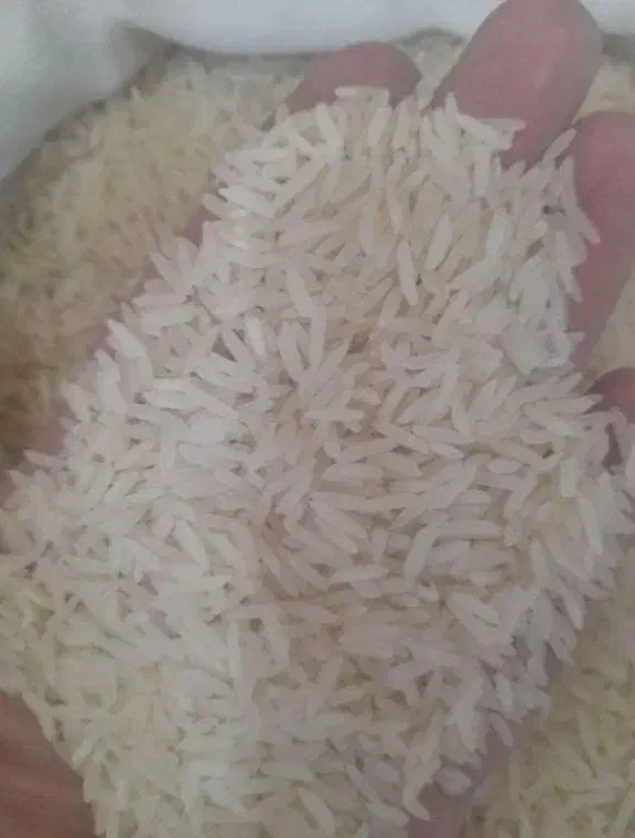 برنج خوراکی|خوردنی و آشامیدنی|تهران, شهرک طالقانی|دیوار