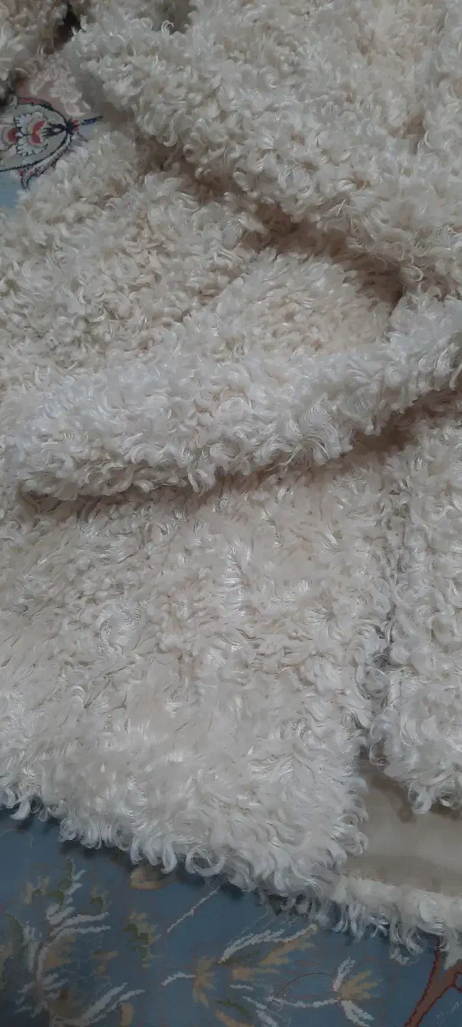 پالتو استر دار|لباس|تربت‌حیدریه, کاشانی|دیوار