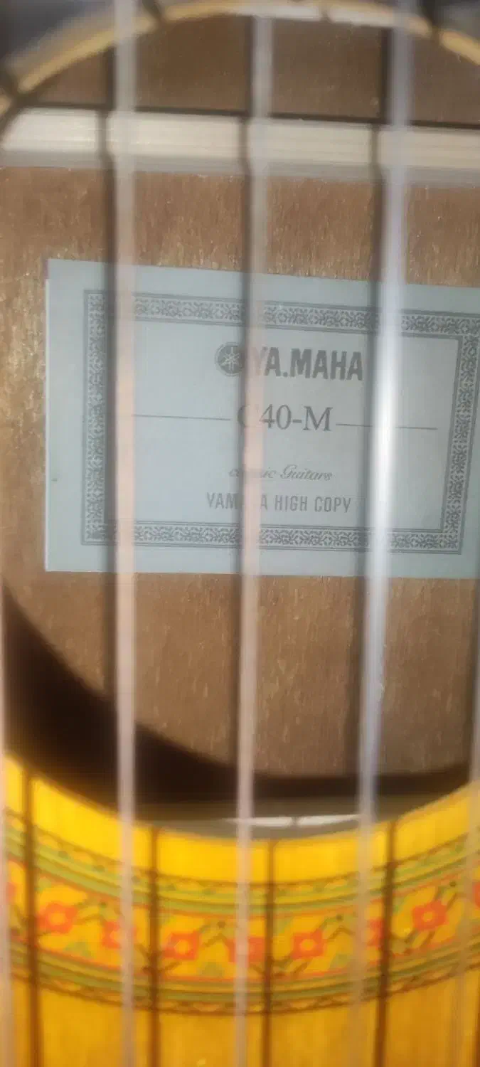 گیتار|گیتار، بیس، امپلیفایر|الیگودرز, |دیوار