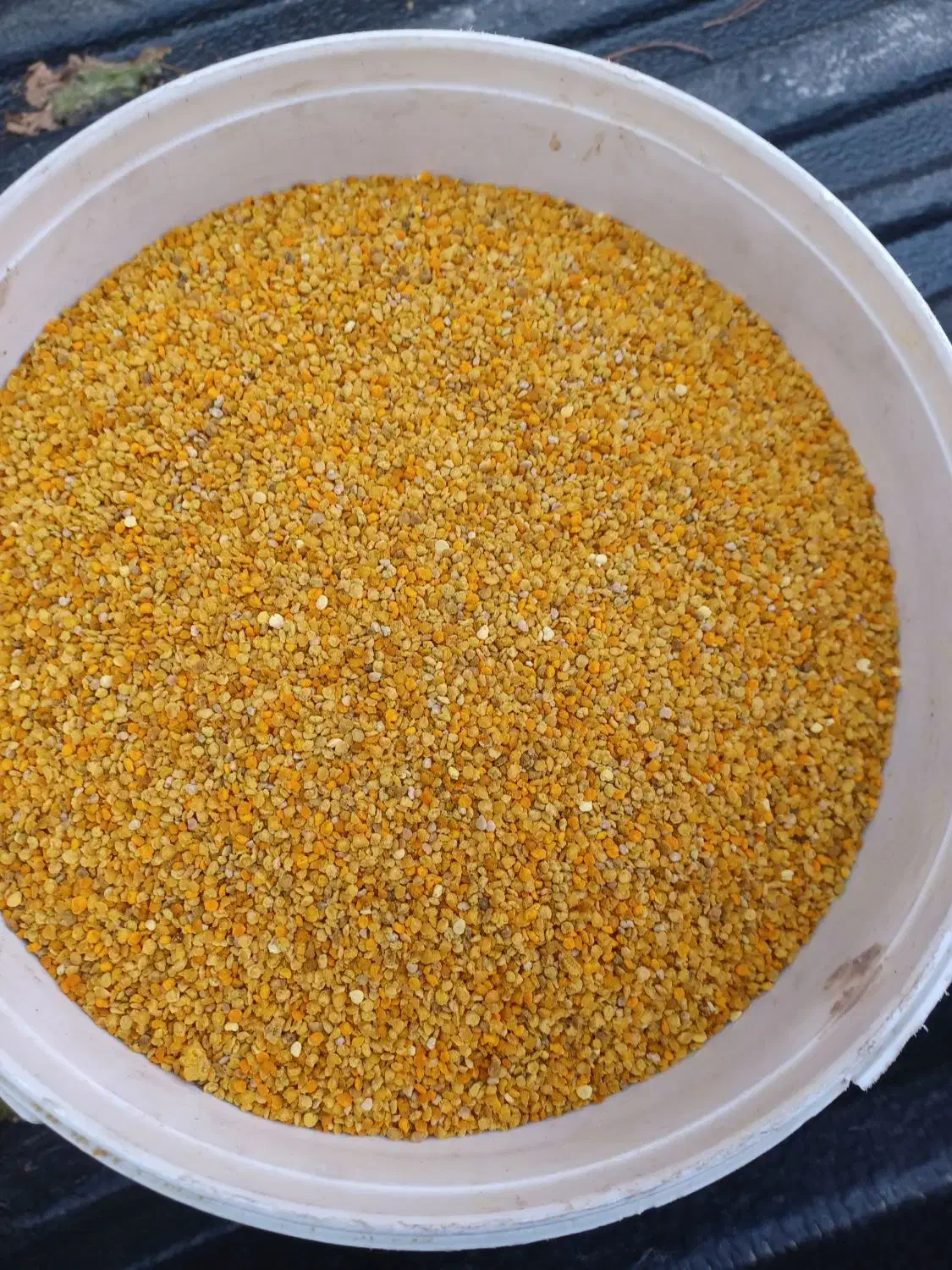 عسل ژل رویال گرده گل|خوردنی و آشامیدنی|مشهد, حجت|دیوار