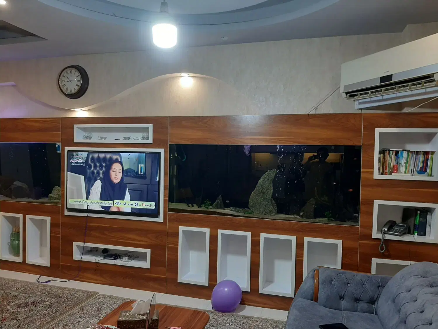 اکواریوم|ماهی|گرگان, |دیوار