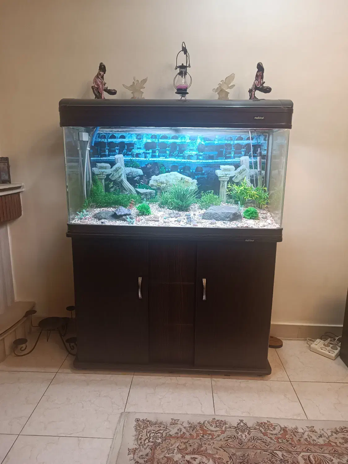 آکواریوم شیشه‌خم‌ ماهیران سری‌خارجی باهمه لوازم|ماهی|کرج, گلشهر|دیوار