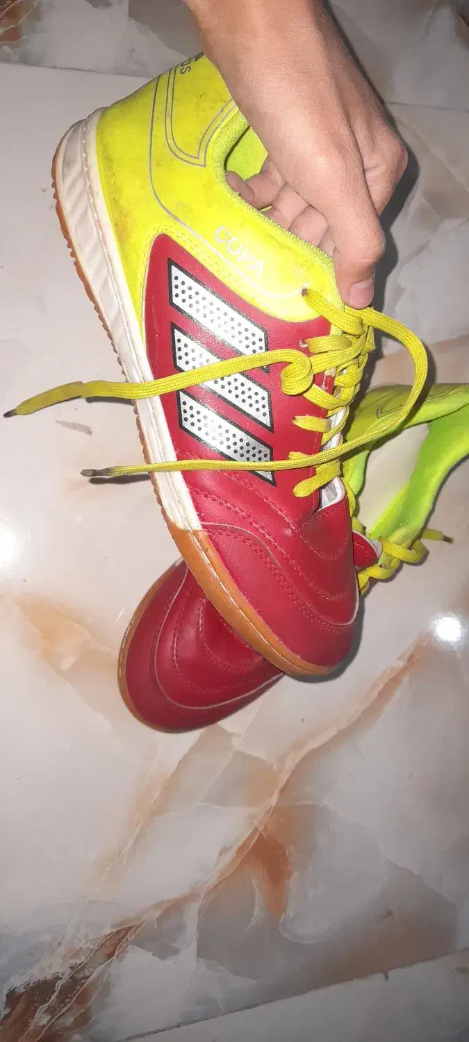 کفش سالن|کیف، کفش، کمربند|تبریز, |دیوار