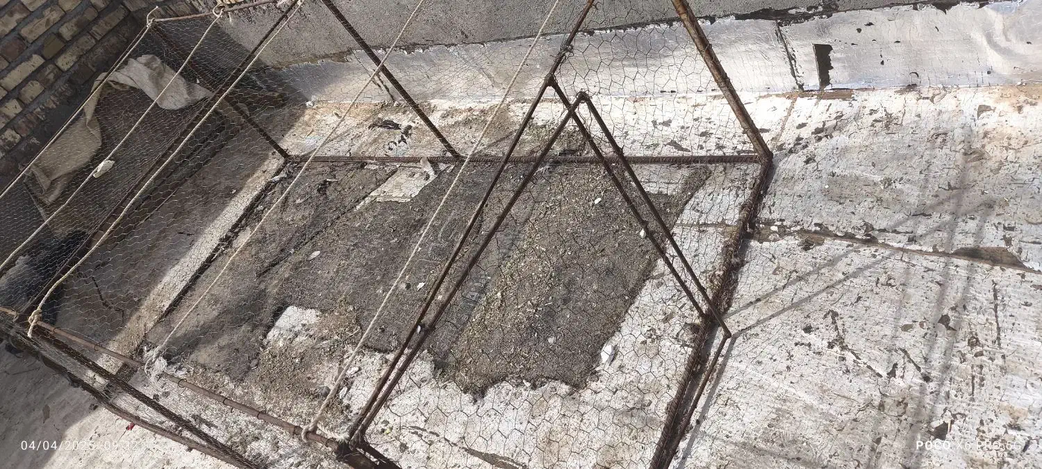 توربمب بزرگ|لوازم جانبی حیوانات|تربت جام, میان جام|دیوار