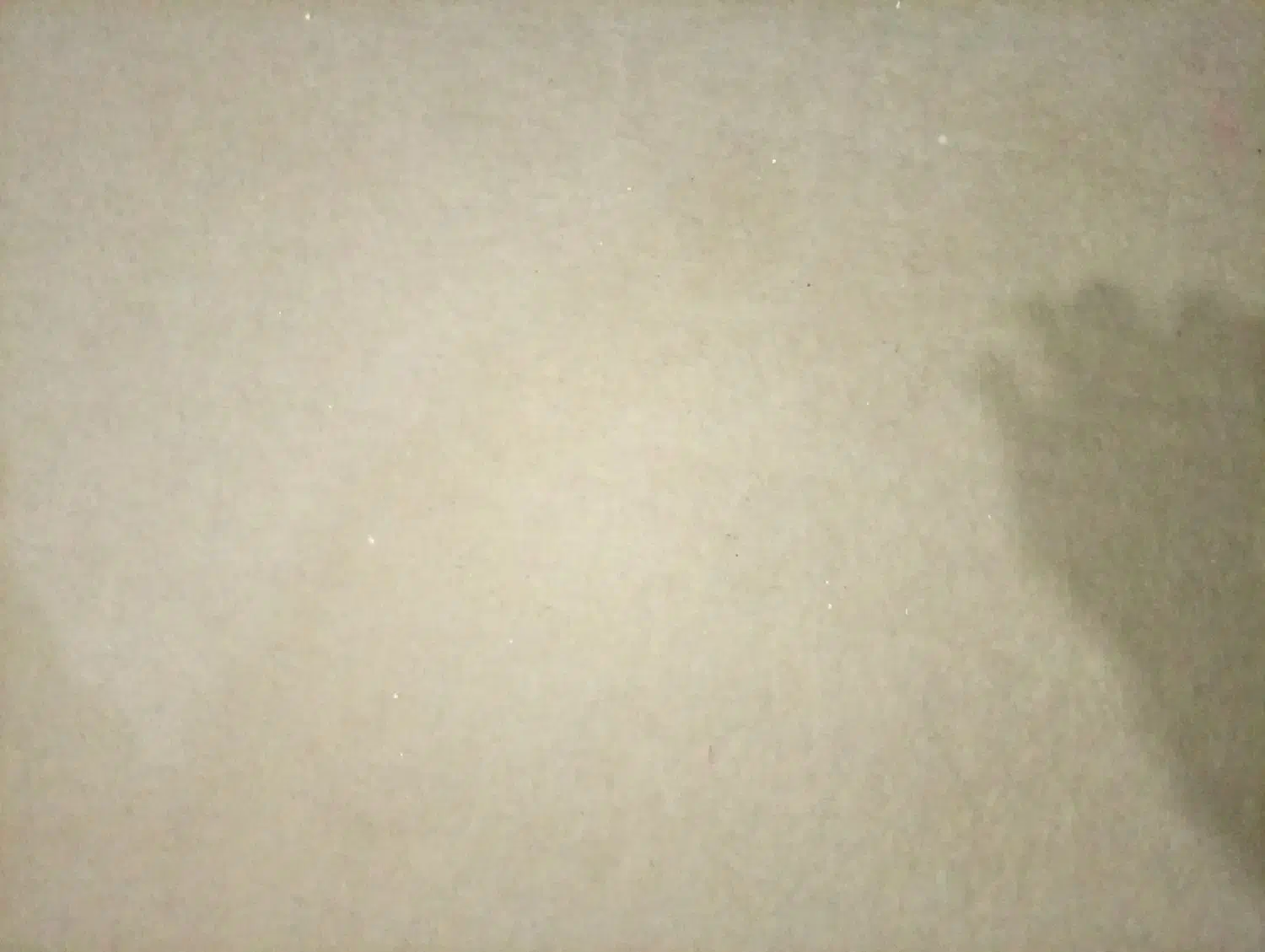 حدود۳۰متر موکت در حد نو|موکت|ساوه, |دیوار