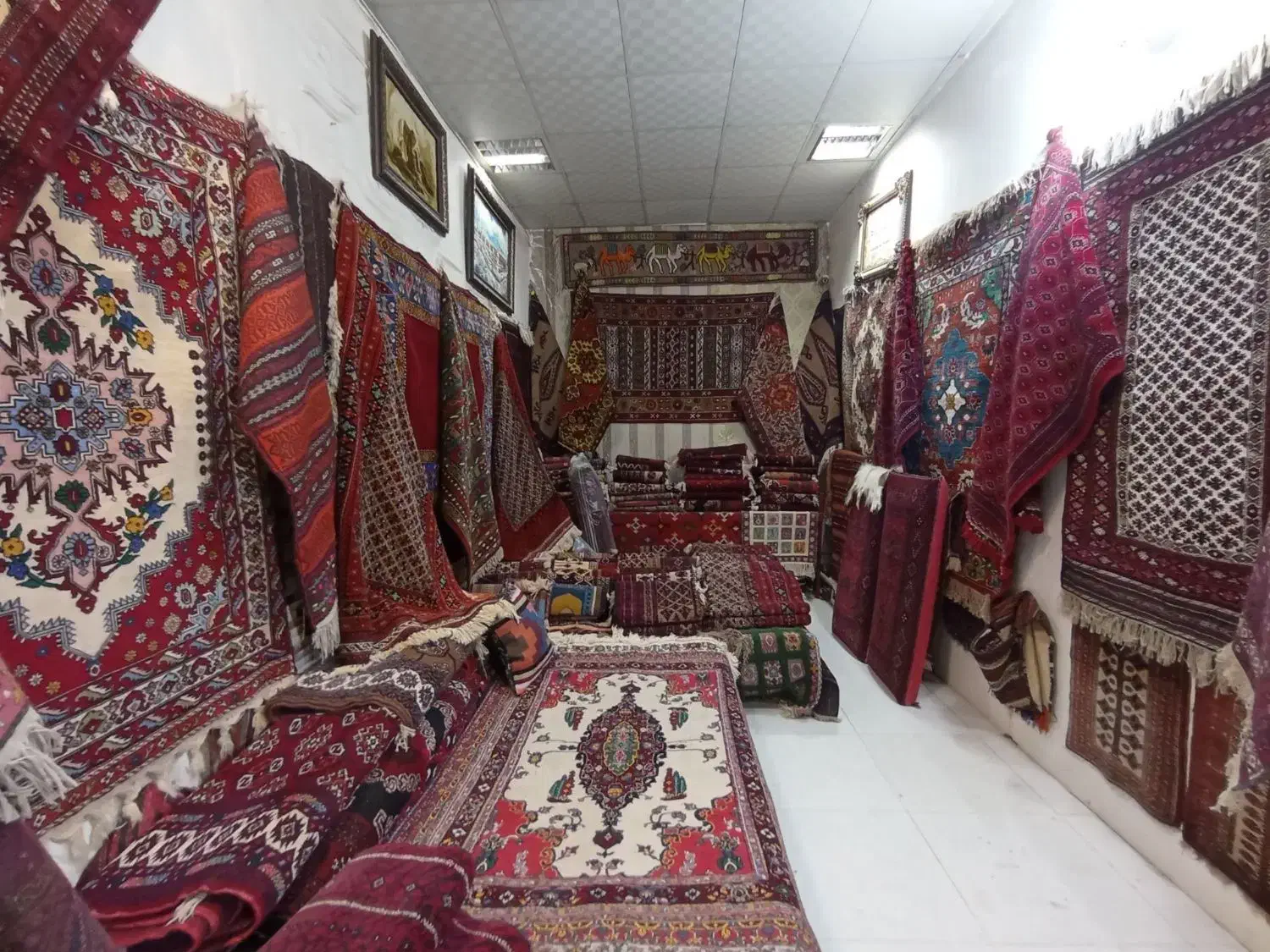 شرکت تعاونی بافندگان شهرستان تربت جام|فرش|تربت جام, پاسداران|دیوار