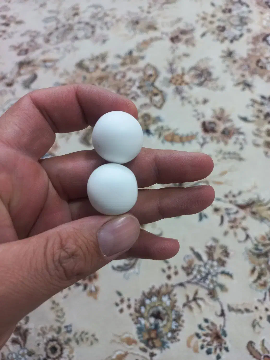 الماس آسیاب|جواهرات|فلاورجان, |دیوار