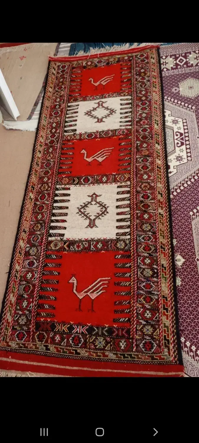 گلیم|گلیم، جاجیم، گبه|بجنورد, |دیوار