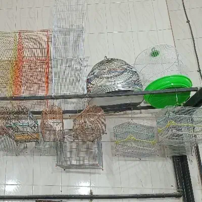 قفس سهره خاکی|لوازم جانبی حیوانات|شیراز, گل سرخ|دیوار