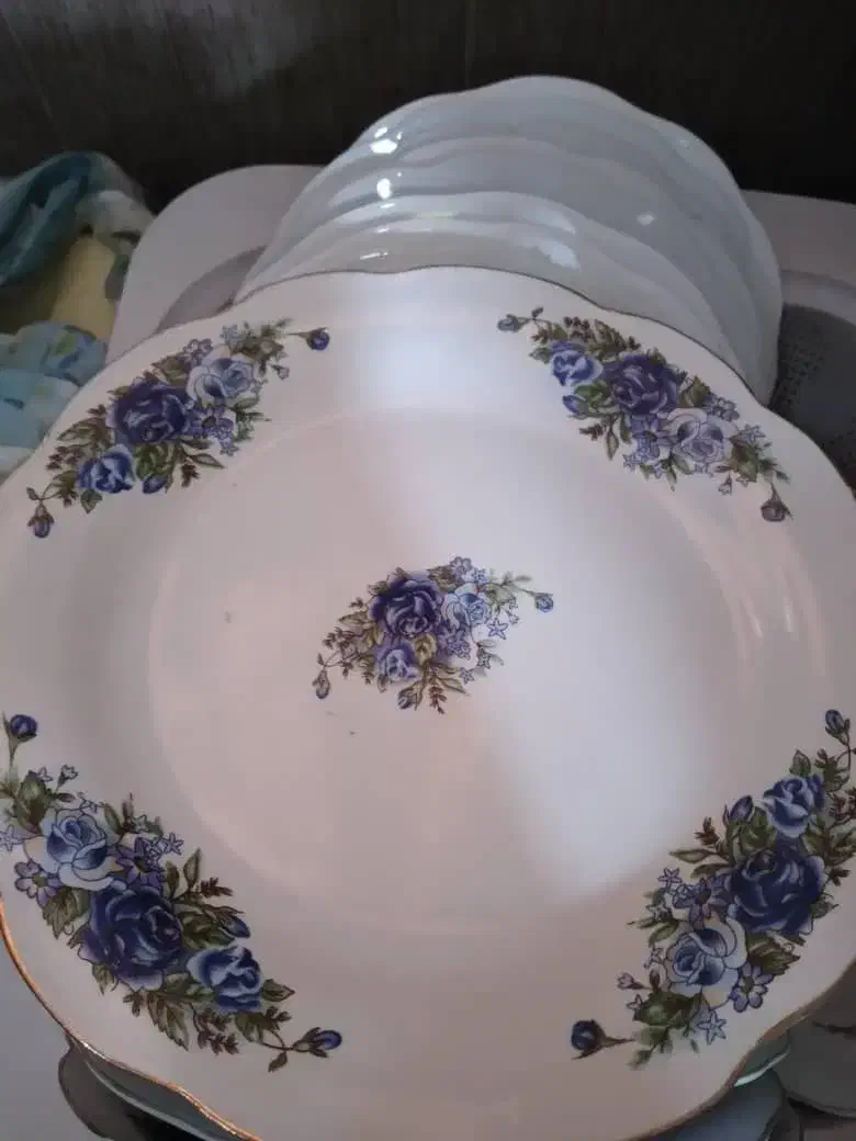 تعدادی بشقاب نو،استفاده نشده|ظروف سرو و پذیرایی|شیراز, شاپورجان|دیوار