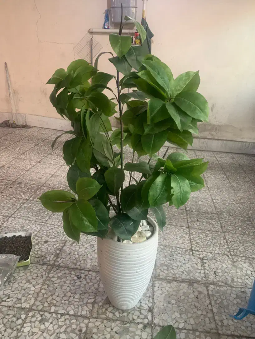 گل مصنوعی قابل شصت و شو بزرگ قابل انعطاف|گل مصنوعی|تهران, چیتگر شمالی|دیوار