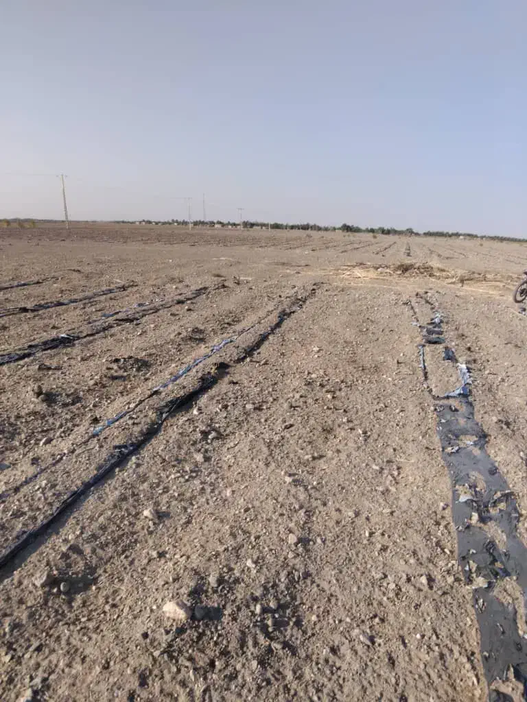 پمپ برقی زمین کشاورزی اجازه ای|فروش دفتر صنعتی، کشاورزی، تجاری|چاه داد خدا, |دیوار