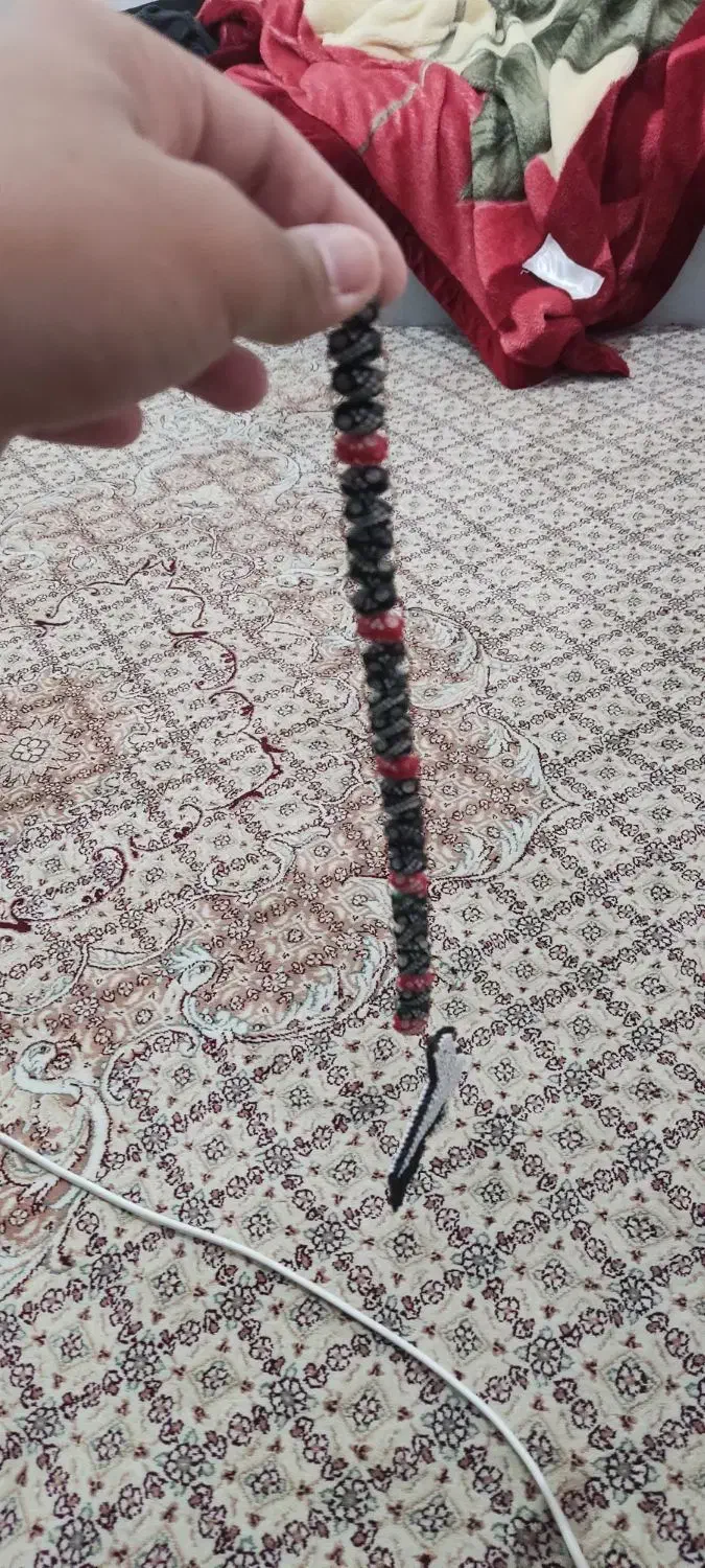 تسبیح زازا|کلکسیون اشیاء عتیقه|داراب, |دیوار