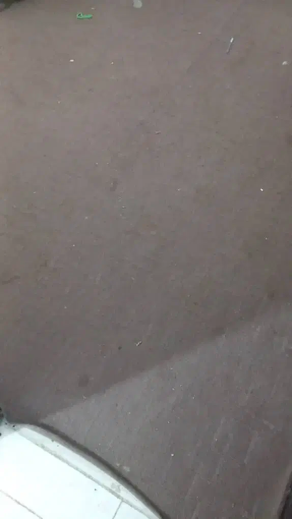 موکت|موکت|بندرعباس, |دیوار