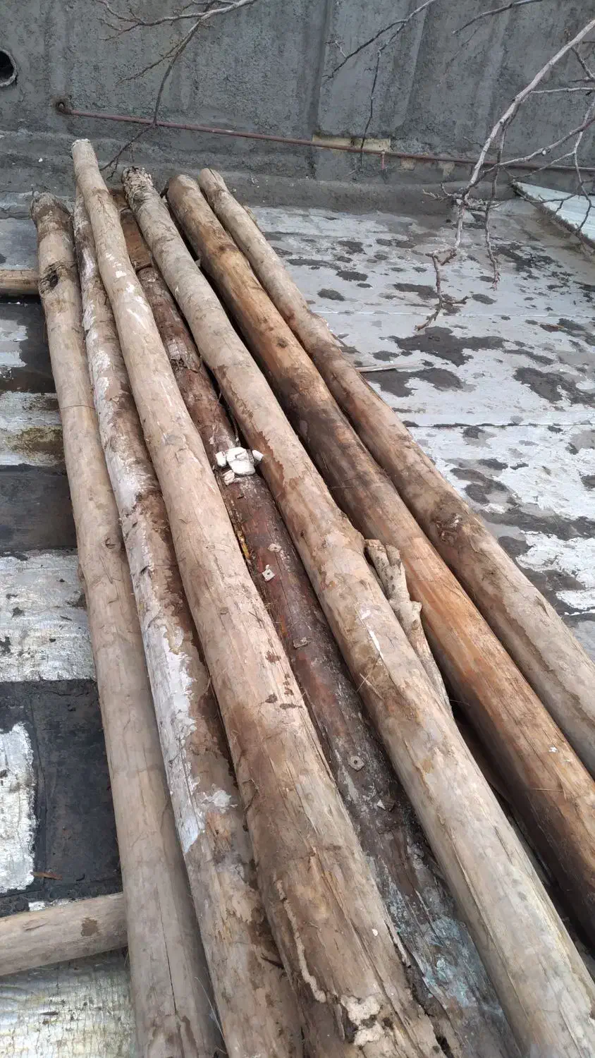 تیرچوب سفید فروش خیلی فوری|مصالح و تجهیزات ساختمان|الوند, |دیوار