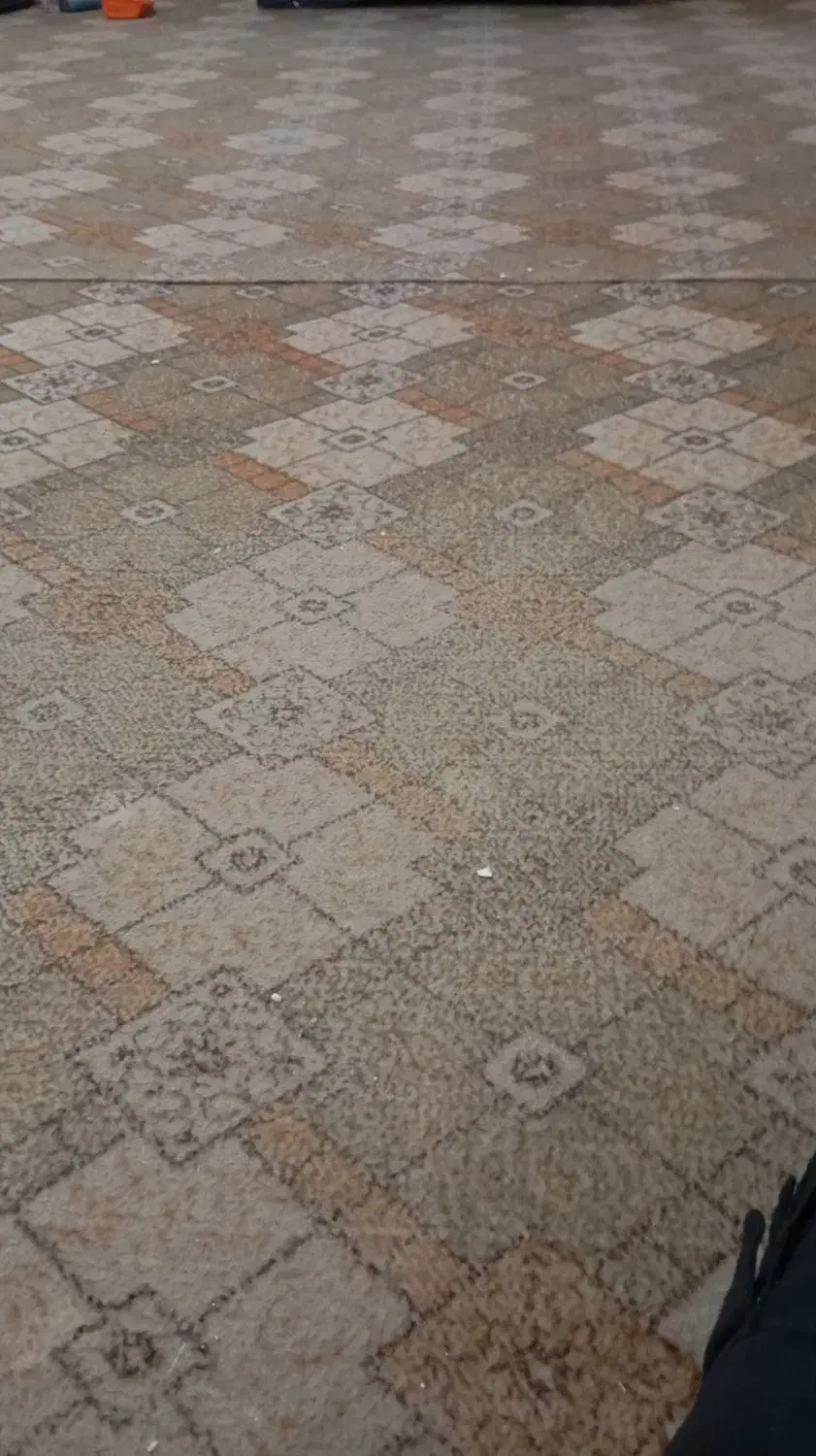 موکت|موکت|شوط, |دیوار