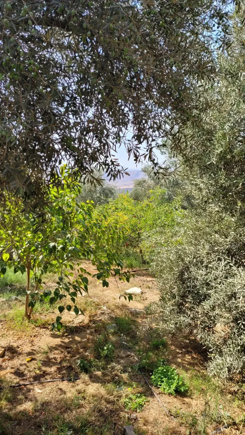 فروش خونه باغ|فروش خانه و ویلا|طارم, |دیوار