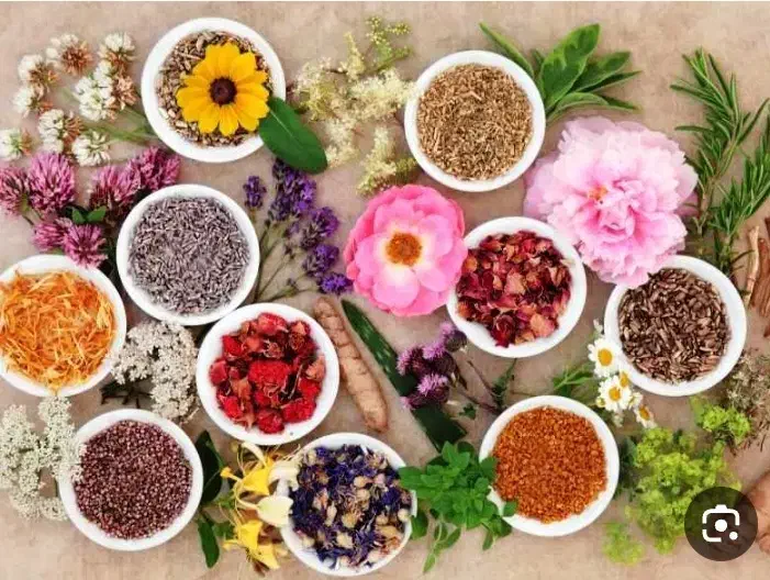 کار در منزل برای خانم هایی که جویای کار هستن|استخدام درمانی، زیبایی، بهداشتی|مهدی شهر, |دیوار