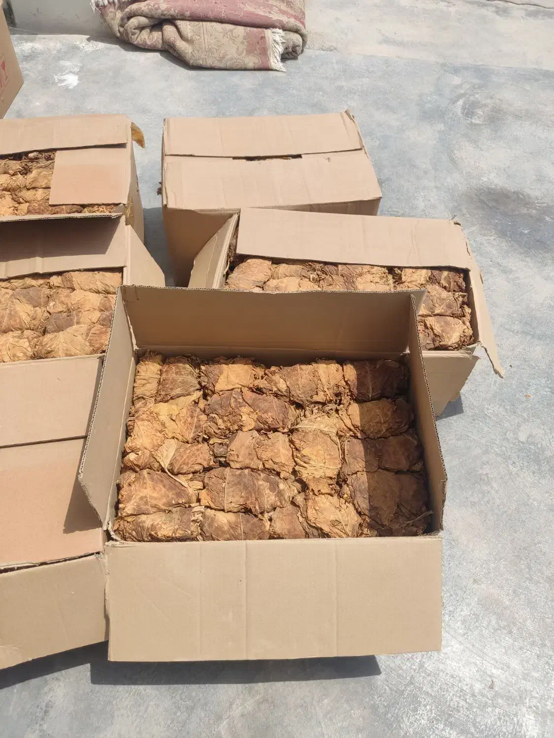 برگ زرد و قرمز|عمده‌فروشی|کاکی, |دیوار