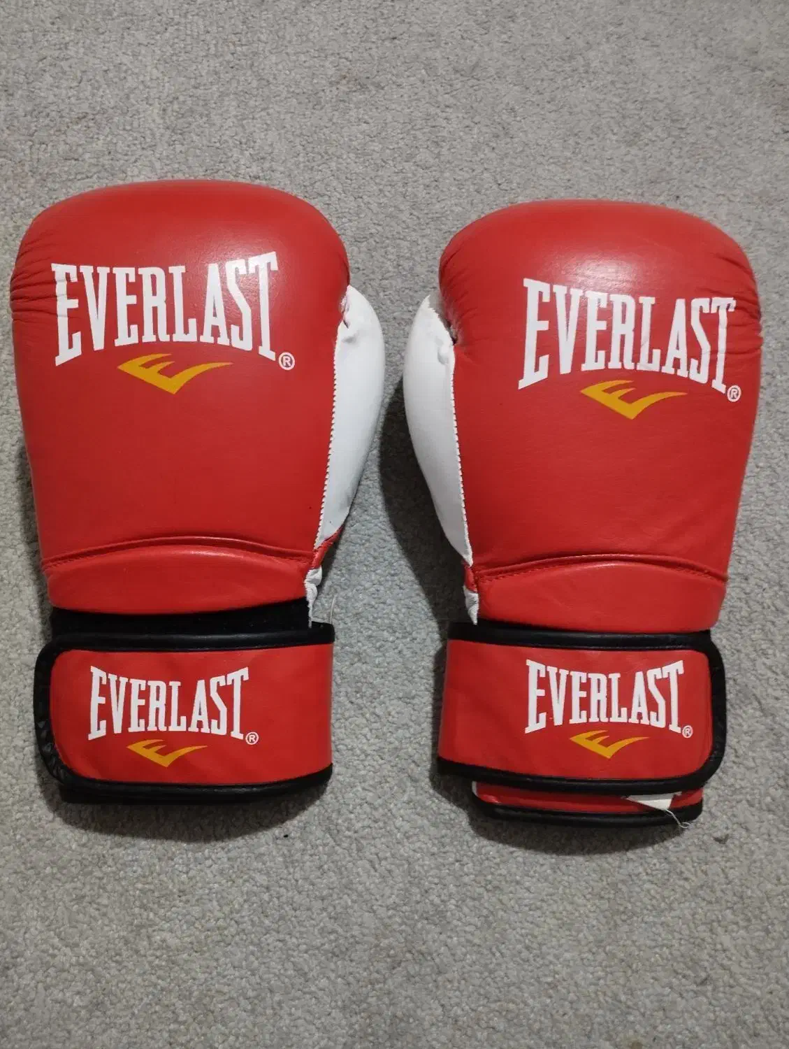 دستکش بوکسeverlast|تجهیزات ورزشی|سقز, |دیوار