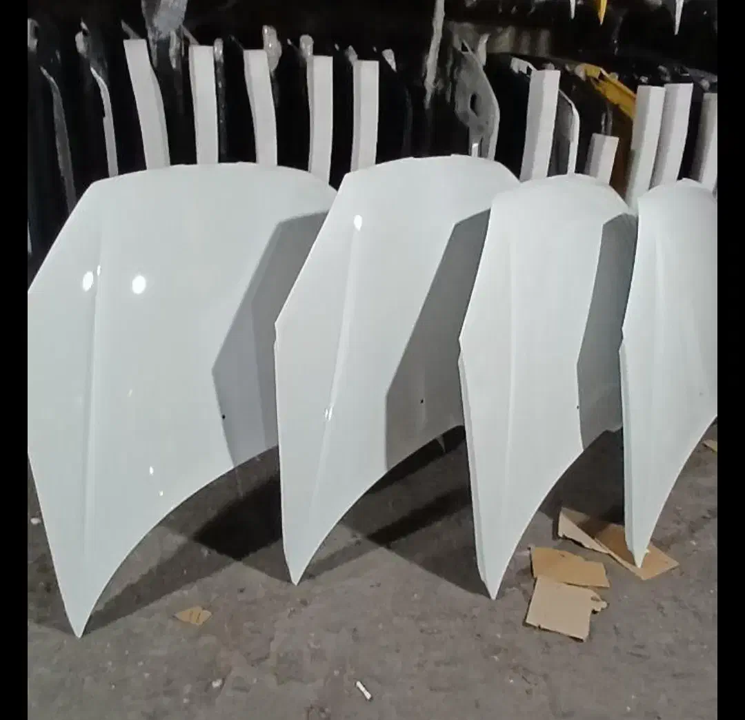 گلگیر کاپوت رنگ کوره ای ۲۰۶ پارس تیبا پراید|قطعات یدکی و لوازم جانبی|شیراز, شهرک رضوان|دیوار