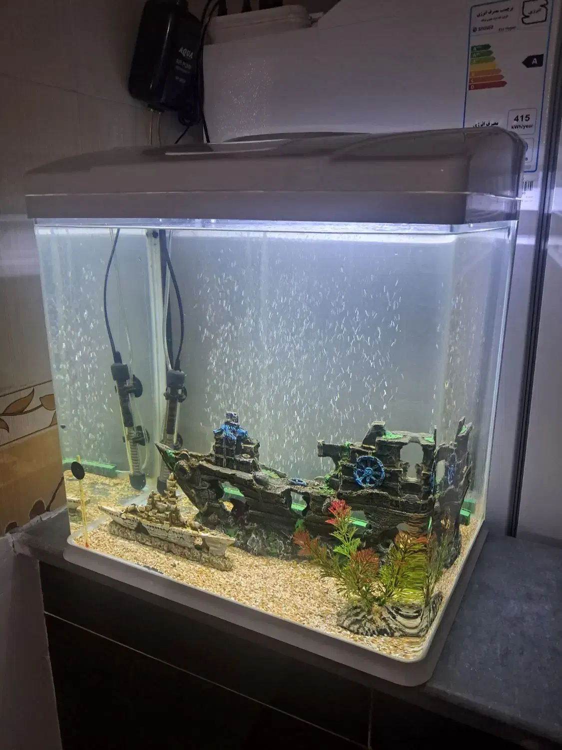 آکواریم شیشه خم|ماهی|مریوان, |دیوار