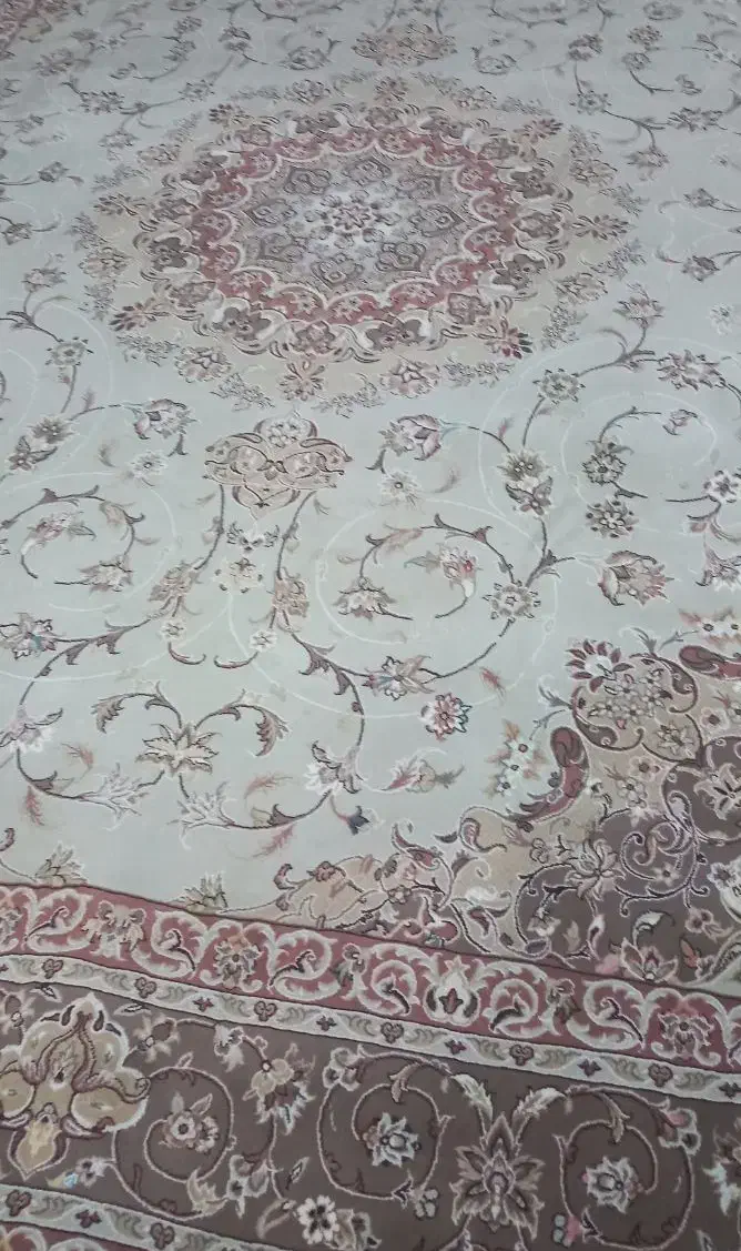 فرش ۱۲متری نونو|فرش|شیراز, فرهنگ شهر|دیوار