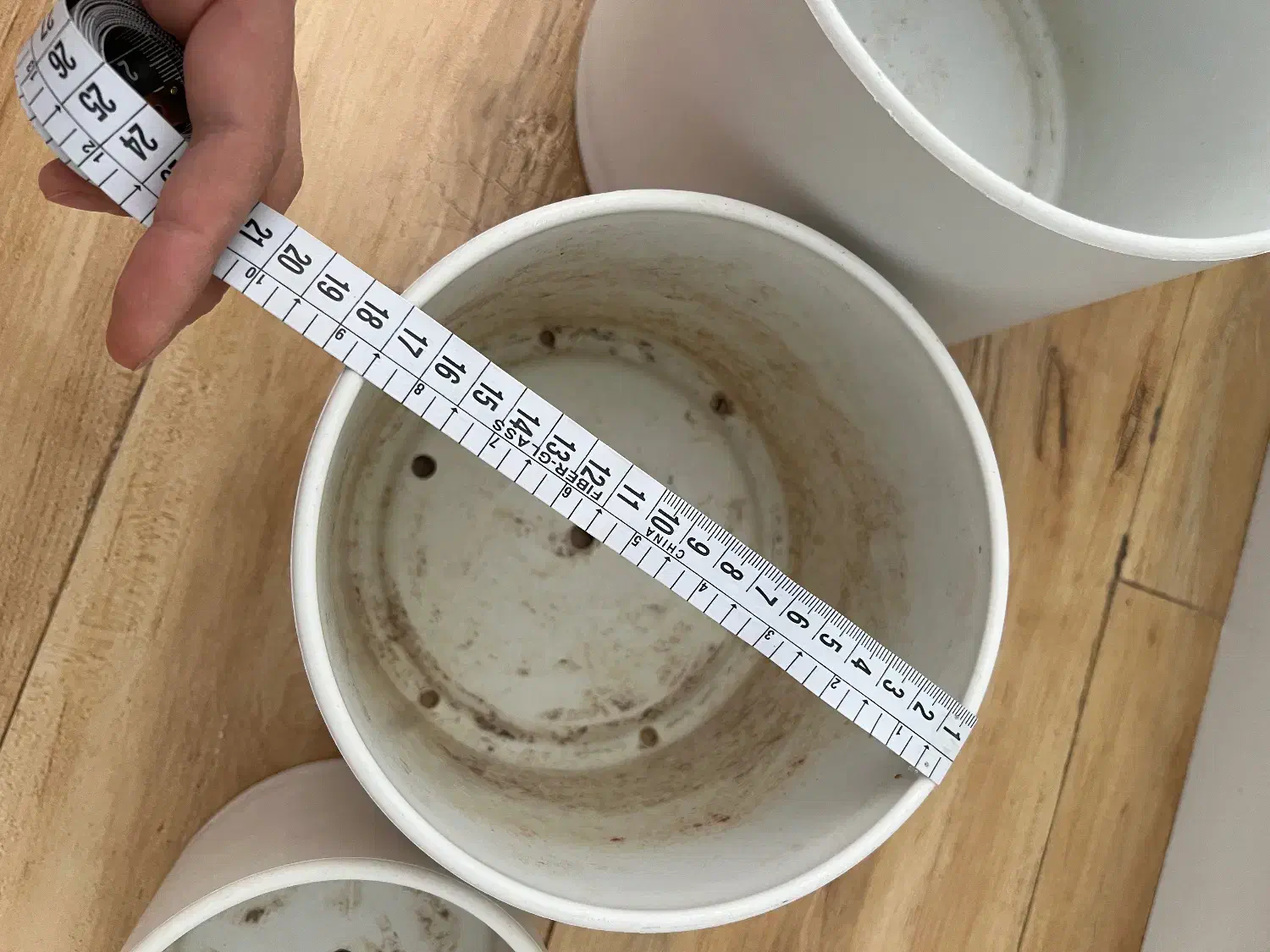 گلدان مهرنی|گل و گیاه طبیعی|بجنورد, |دیوار