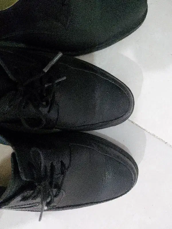 کفش|کیف، کفش، کمربند|تهران, سبلان (لشگر)|دیوار