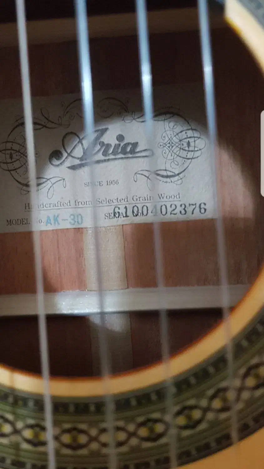 گیتار کلاسیک|گیتار، بیس، امپلیفایر|تهران, دانشگاه شریف|دیوار