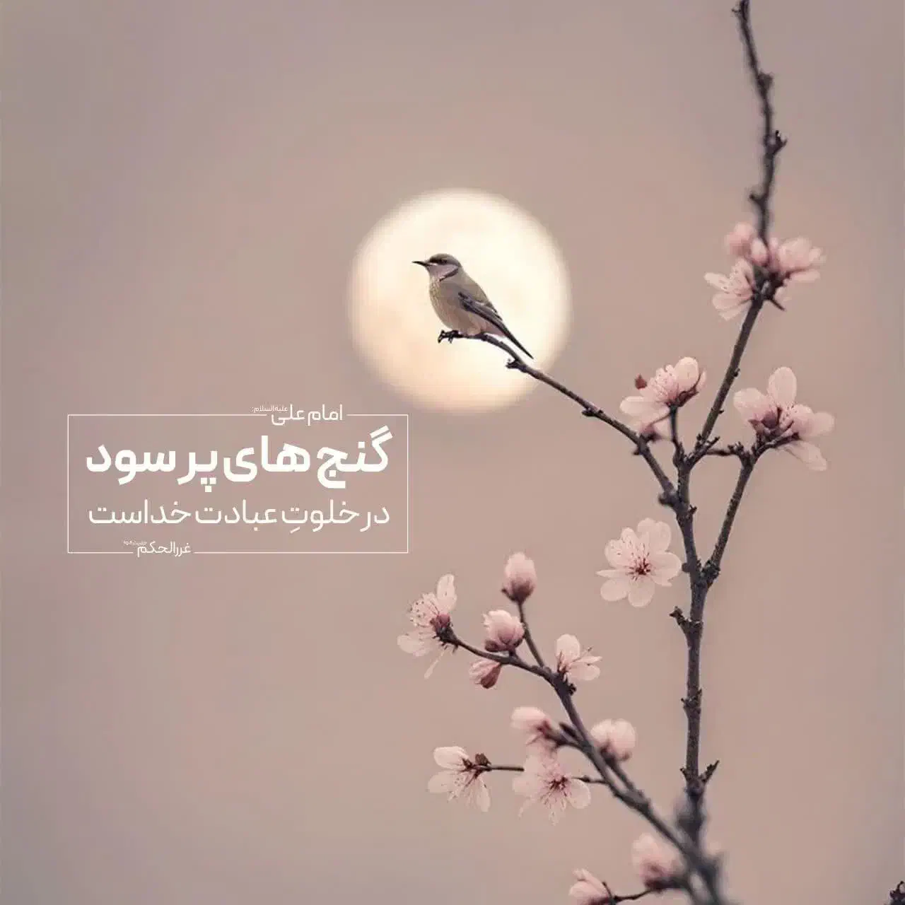 کارت های بانکی گم شده|اشیا|خرمشهر, |دیوار