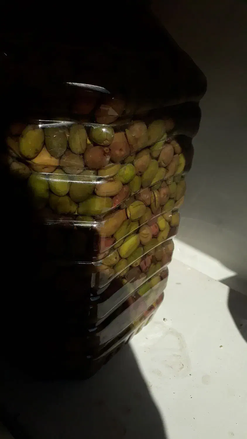 زیتون جمکران|خوردنی و آشامیدنی|قم, جمکران|دیوار