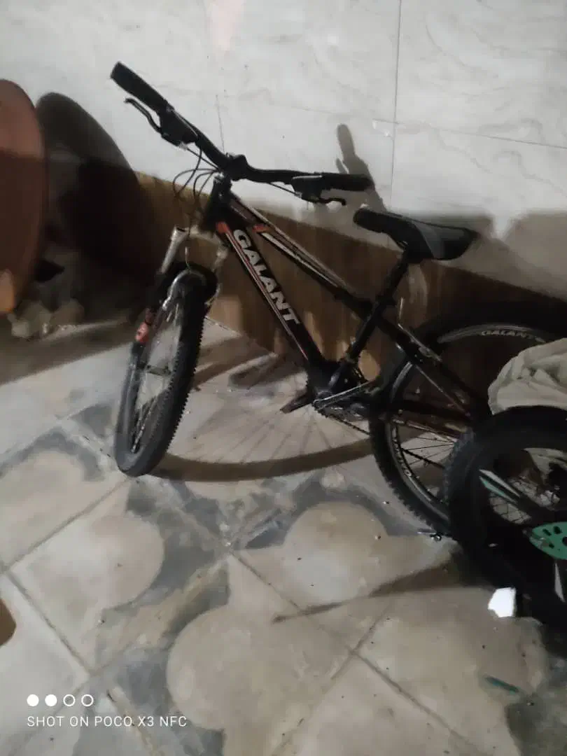 دوچرخه|دوچرخه، اسکیت، اسکوتر|فسا, |دیوار