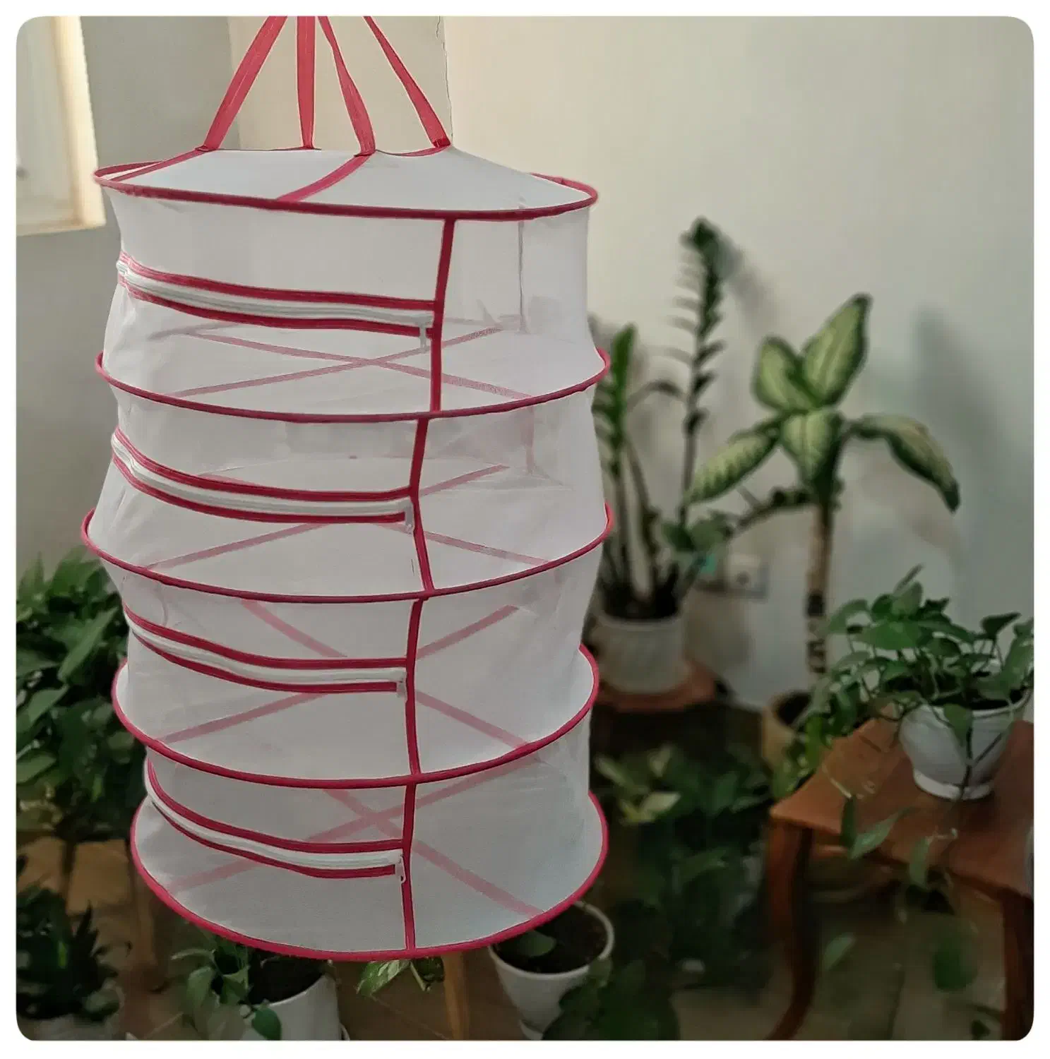 توری میوه خشک کن|سایر لوازم برقی|تربتحیدریه, شهرک ولیعصر|دیوار