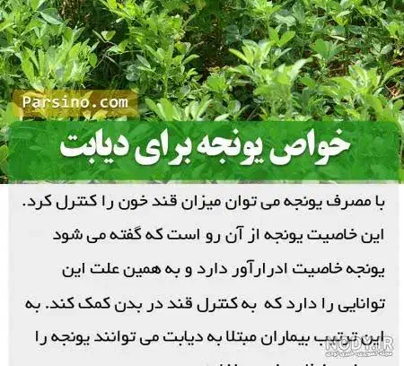 ۸جوانه|خوردنی و آشامیدنی|مشهد, شهرک امام سجاد|دیوار