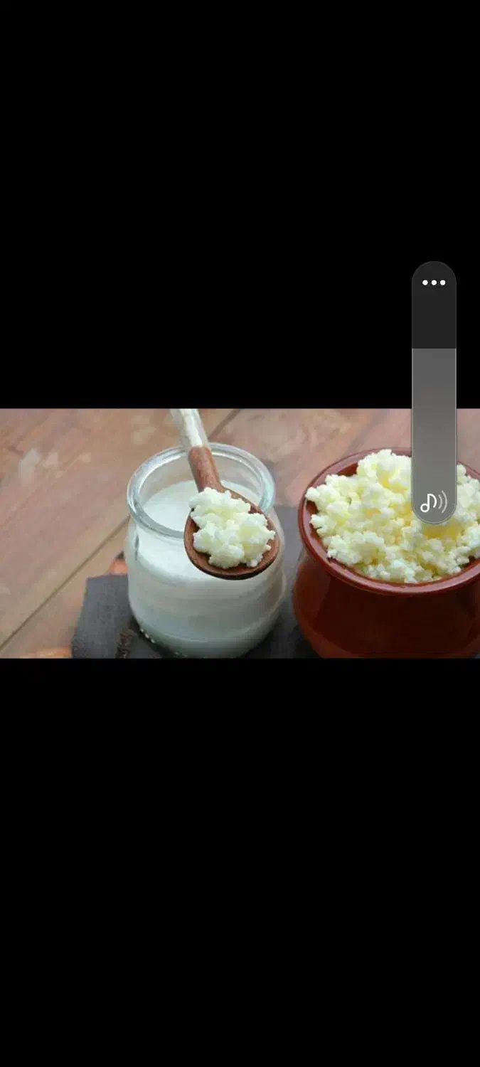 دوغ کفیر|خوردنی و آشامیدنی|نیشابور, دارایی|دیوار