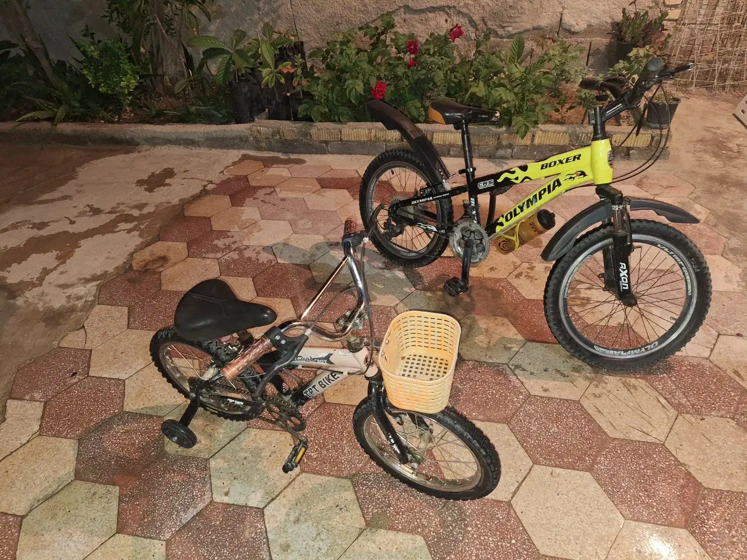 در حد نو|دوچرخه، اسکیت، اسکوتر|شیراز, کفترک|دیوار