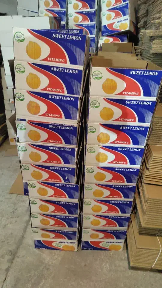 کارتن زغال و مرکبات|عمده‌فروشی|جهرم, |دیوار