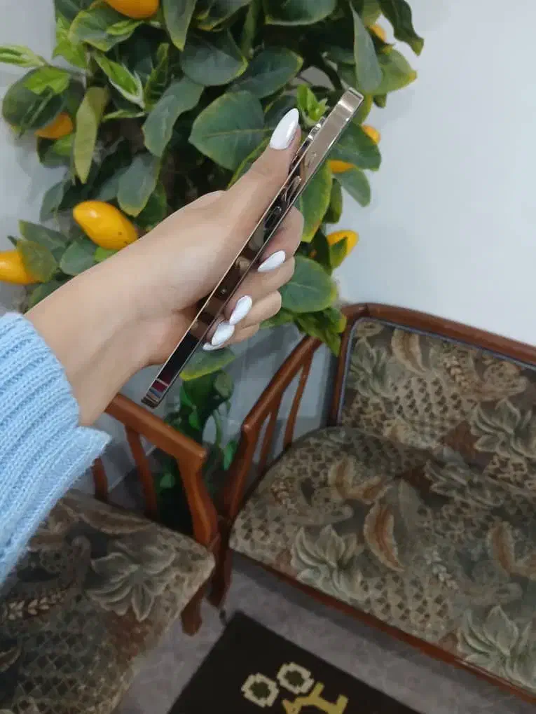 گوشی ایفون ۱۲پرومکس|موبایل|بروجرد, |دیوار