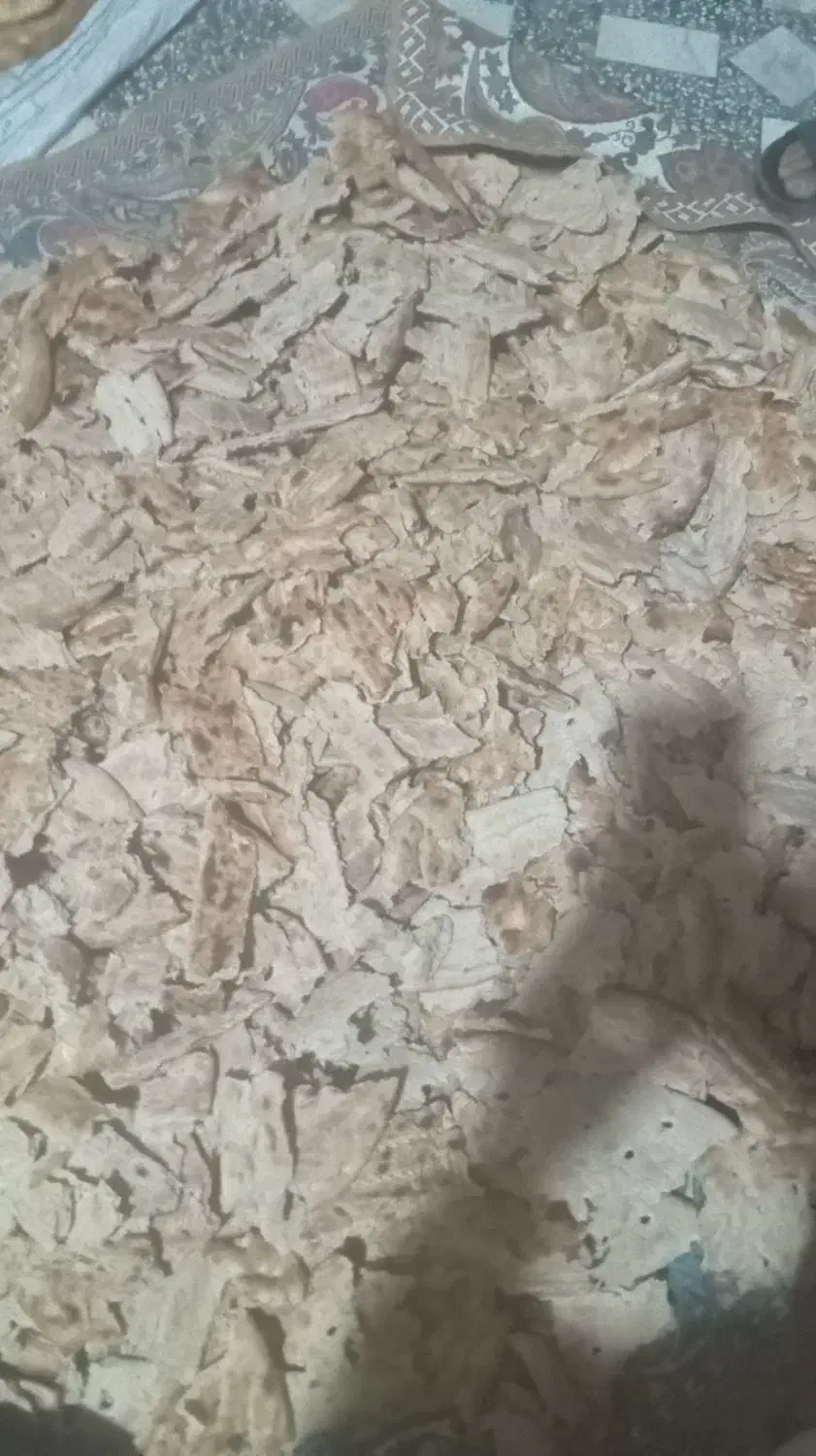 نان خشک|حیوانات مزرعه|گناباد, |دیوار