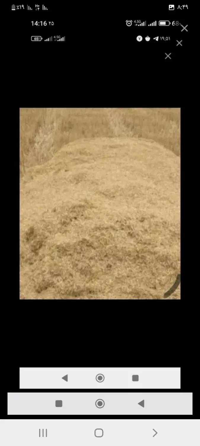 ۲۰تن کاه گندم دیم نرم ریز|عمده‌فروشی|گل تپه, |دیوار