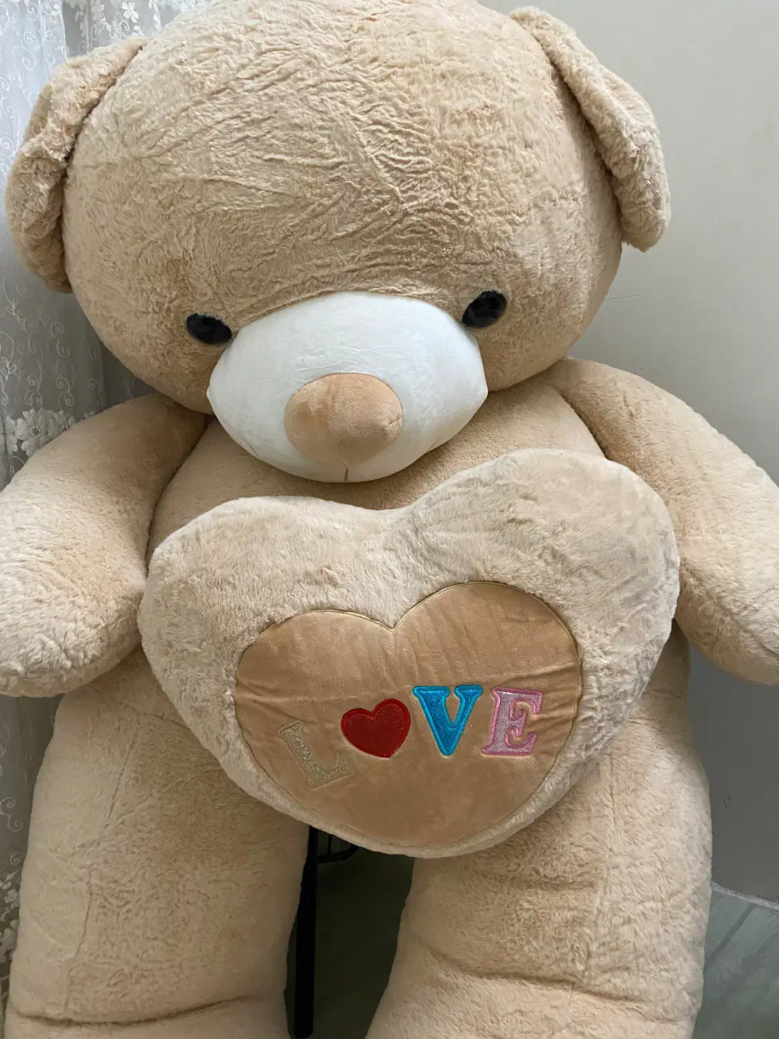 خرس|کلکسیون و سرگرمی|سبزوار, هویزه|دیوار