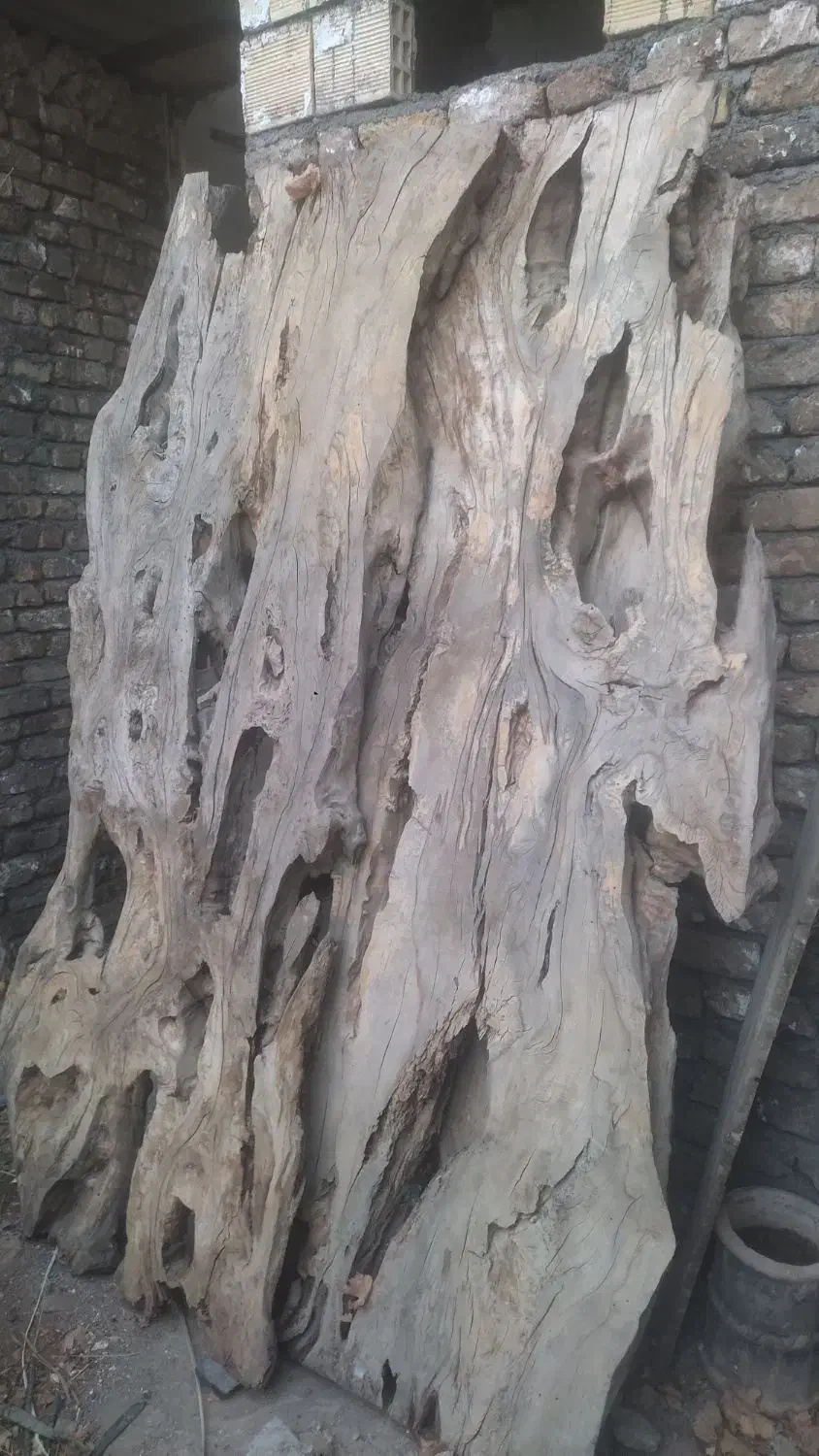 فروش چوب|مصالح و تجهیزات ساختمان|تویسرکان, |دیوار